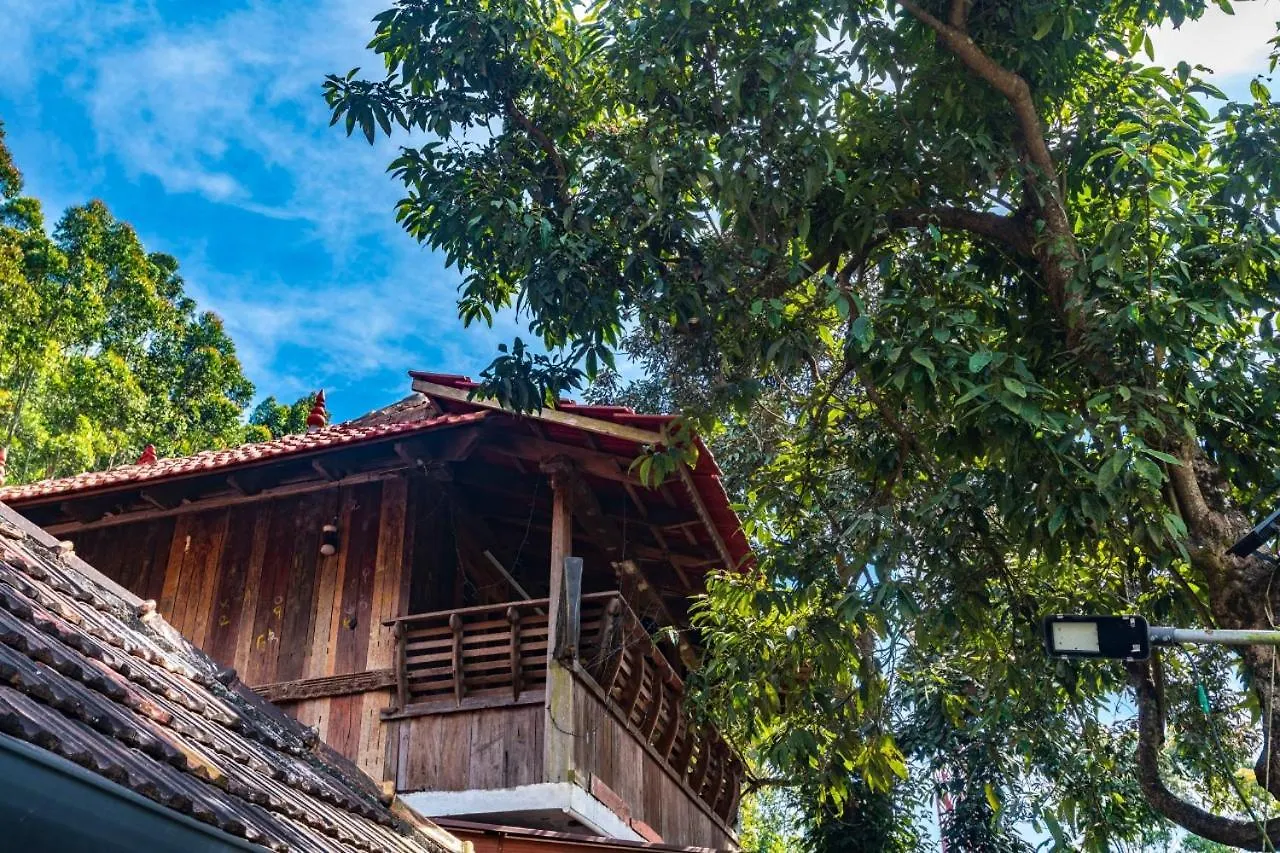 Castillo De Woods , The Private Luxury Villa , 8 Bhk, Vattavada Kottakamboor 3*,  India